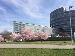 EU-Parlamentsgebäude in Straßburg